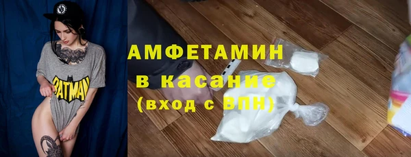 молекула духа Козловка