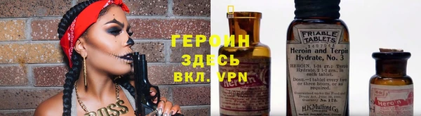 сатива Козельск