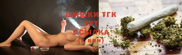 сатива Козельск