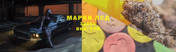 молекула духа Козловка