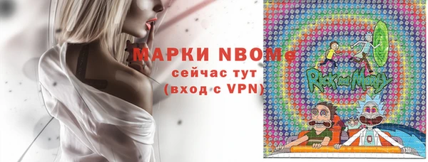 молекула духа Козловка