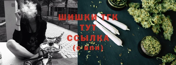 молекула духа Козловка