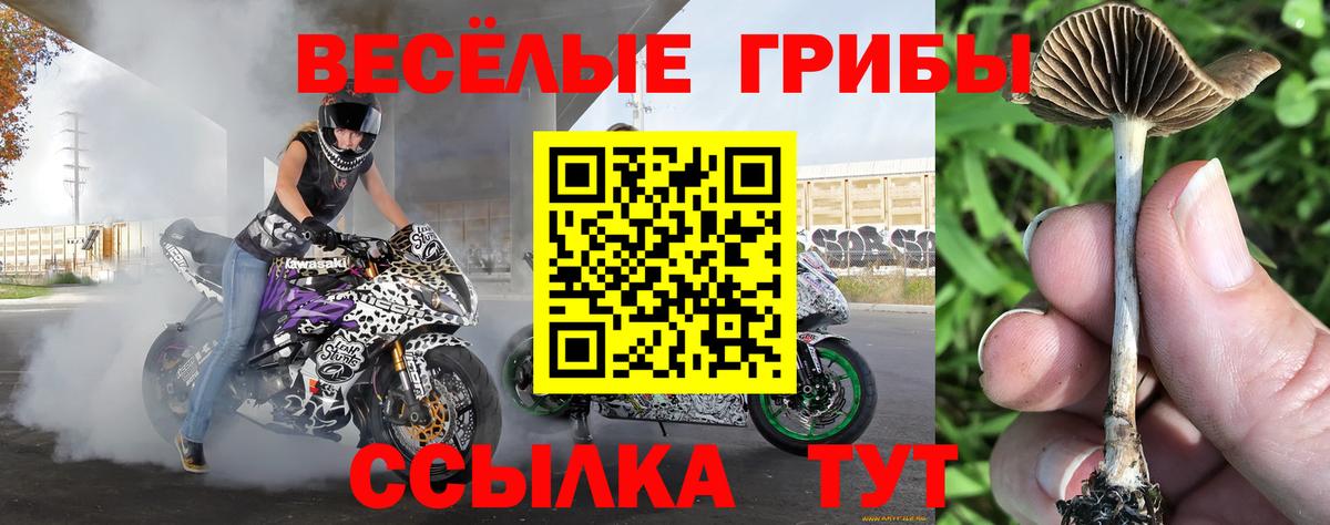 Псилоцибиновые грибы ЛСД Уссурийск