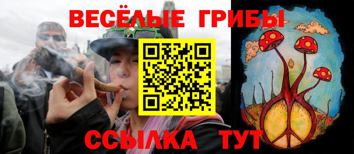 Уссурийск  Псилоцибиновые грибы прущие грибы  Вход с VPN 
